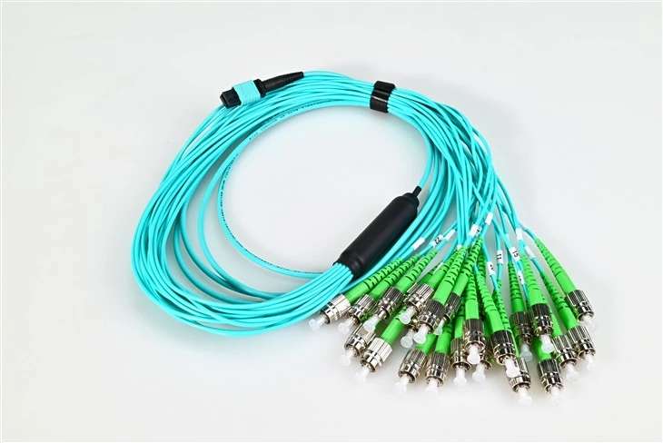 Cavo patch in fibra ottica Mtp a Fc Apc 24core Om3 3.0mm