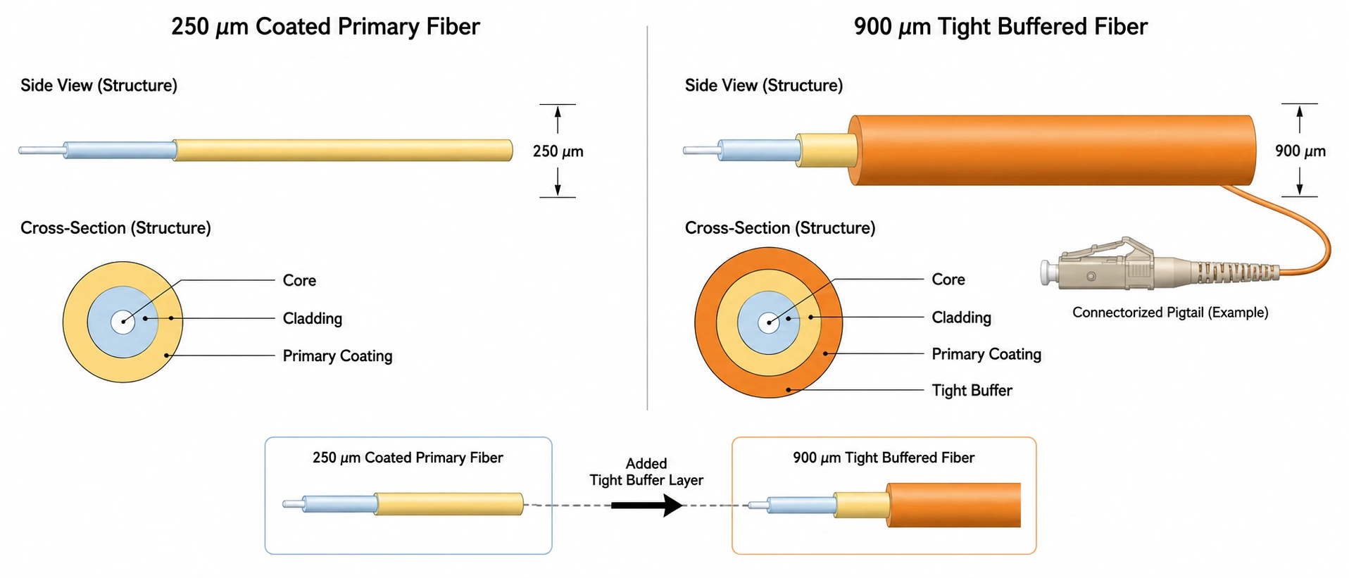 Comparison between 250um coated primary optical fiber and 900um tight buffered fiber cable structure for telecom pigtail installation Comparison between 250um coated primary optical fiber and 900um tight buffered fiber cable structure for telecom pigtail installation